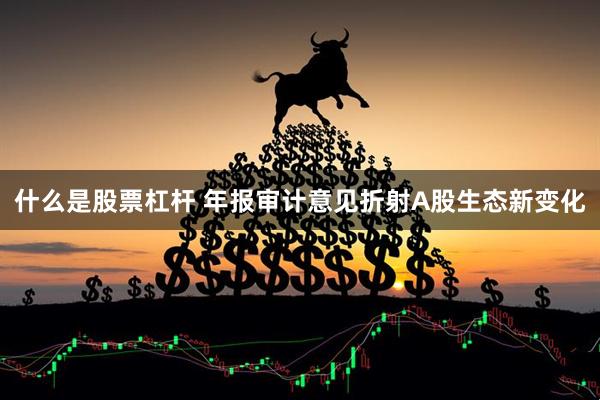 什么是股票杠杆 年报审计意见折射A股生态新变化