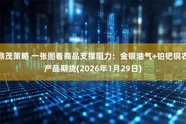 鼎茂策略 一张图看商品支撑阻力：金银油气+铂钯铜农产品期货(2026年1月29日)