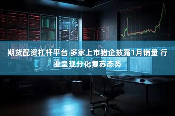 期货配资杠杆平台 多家上市猪企披露1月销量 行业呈现分化复苏态势